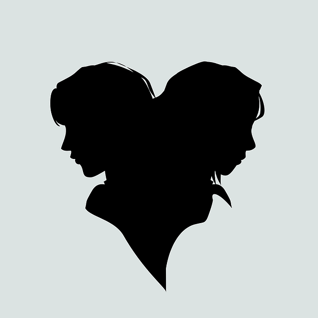 A silhouette of two heads back-to-back.