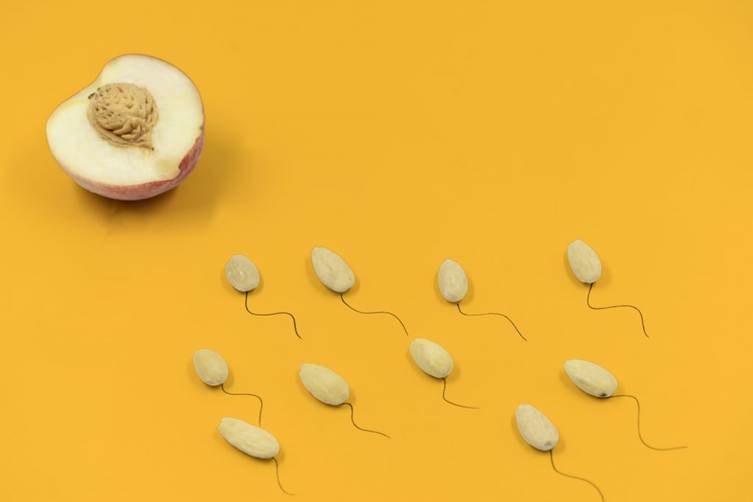 A group of white eggs with a round object in the center

AI-generated content may be incorrect.